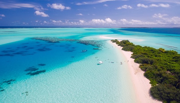 Tips for your next beach trip