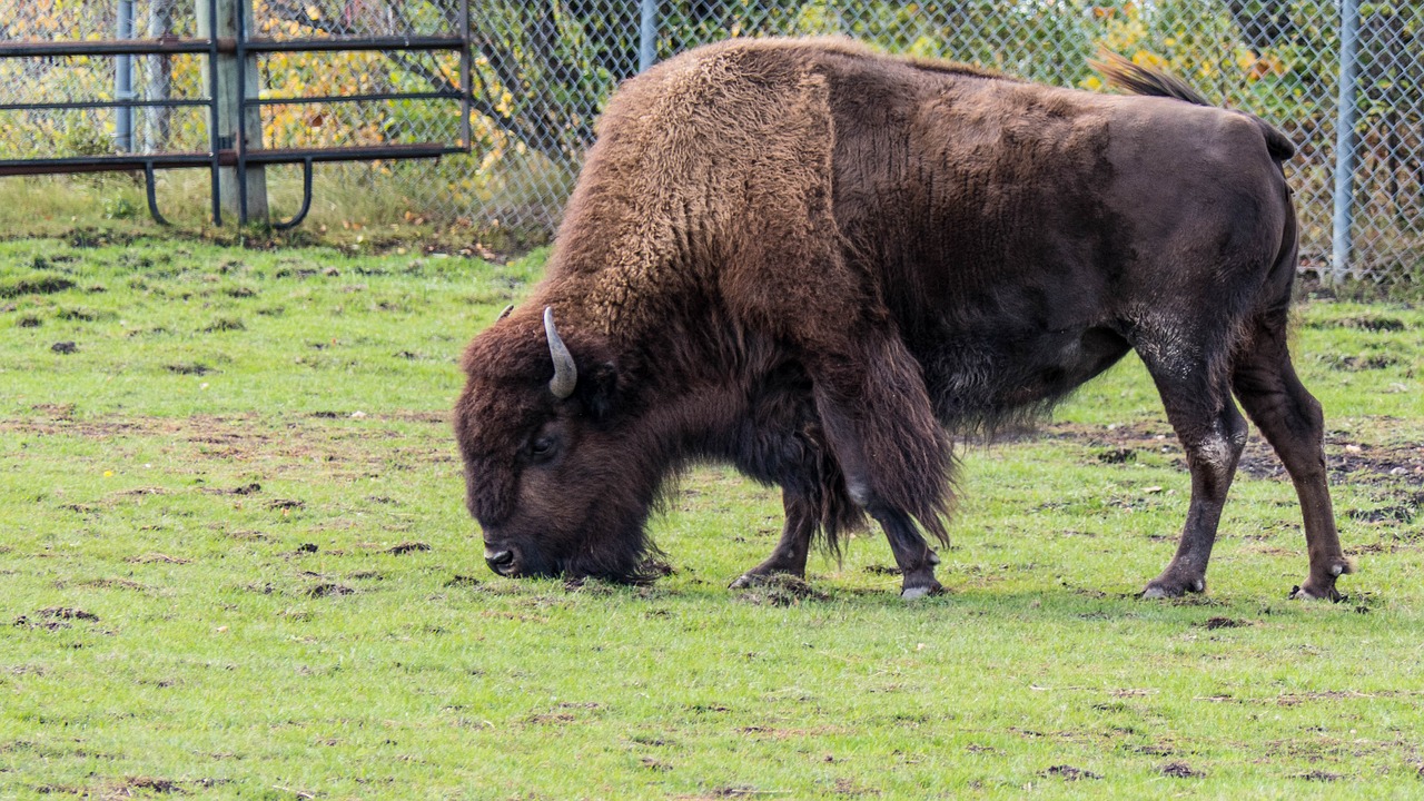 Must Visit Places in Manitoba