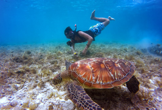 The Three Best Hawaiian Beaches for Water Sports