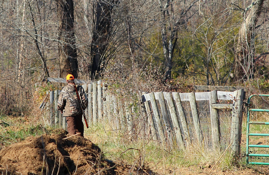 Ideal Countries for Hunting Trips